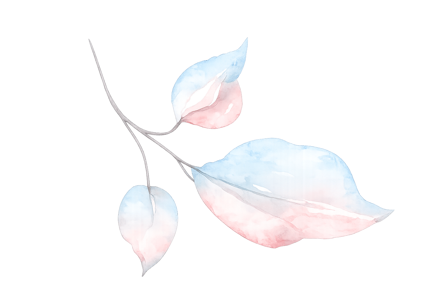 Soft watercolor leaf