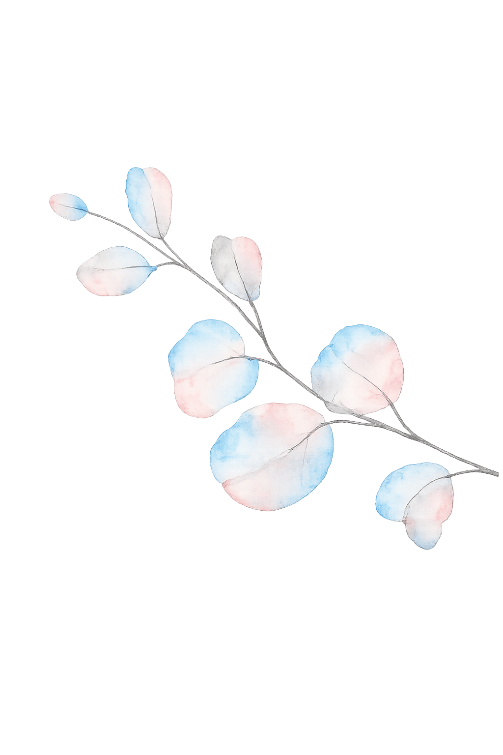 Soft watercolor leaf illustration